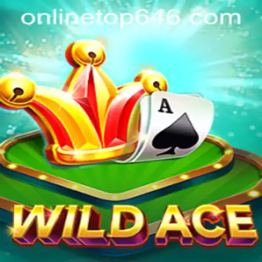 WildAce: A New Contender in the Gaming Arena